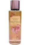 Victoria's Secret Love Spell Golden Body Mist